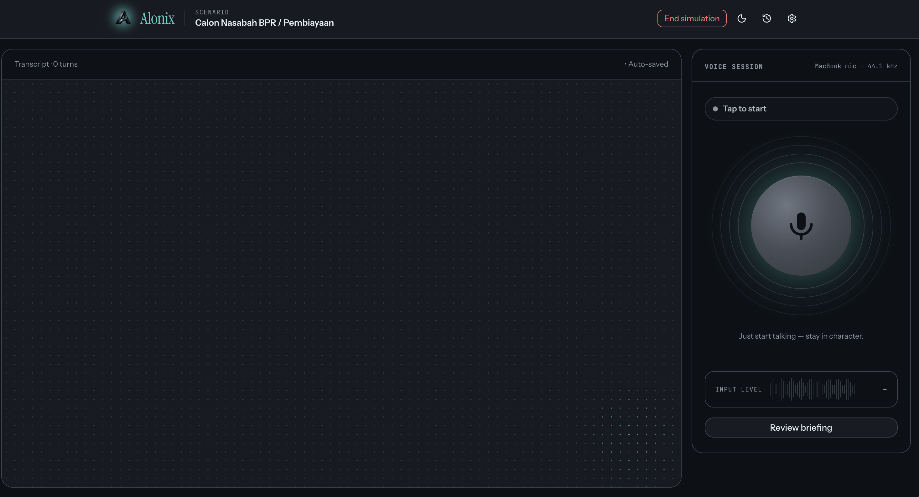 Voice session interface, idle state
